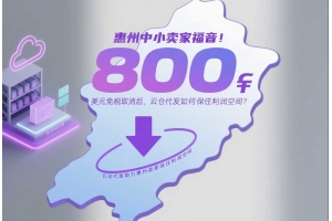 惠州中小賣家福音！800美元免稅取消后，云倉代發如何保住利潤空間？